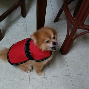 Meet your Posher, Maria